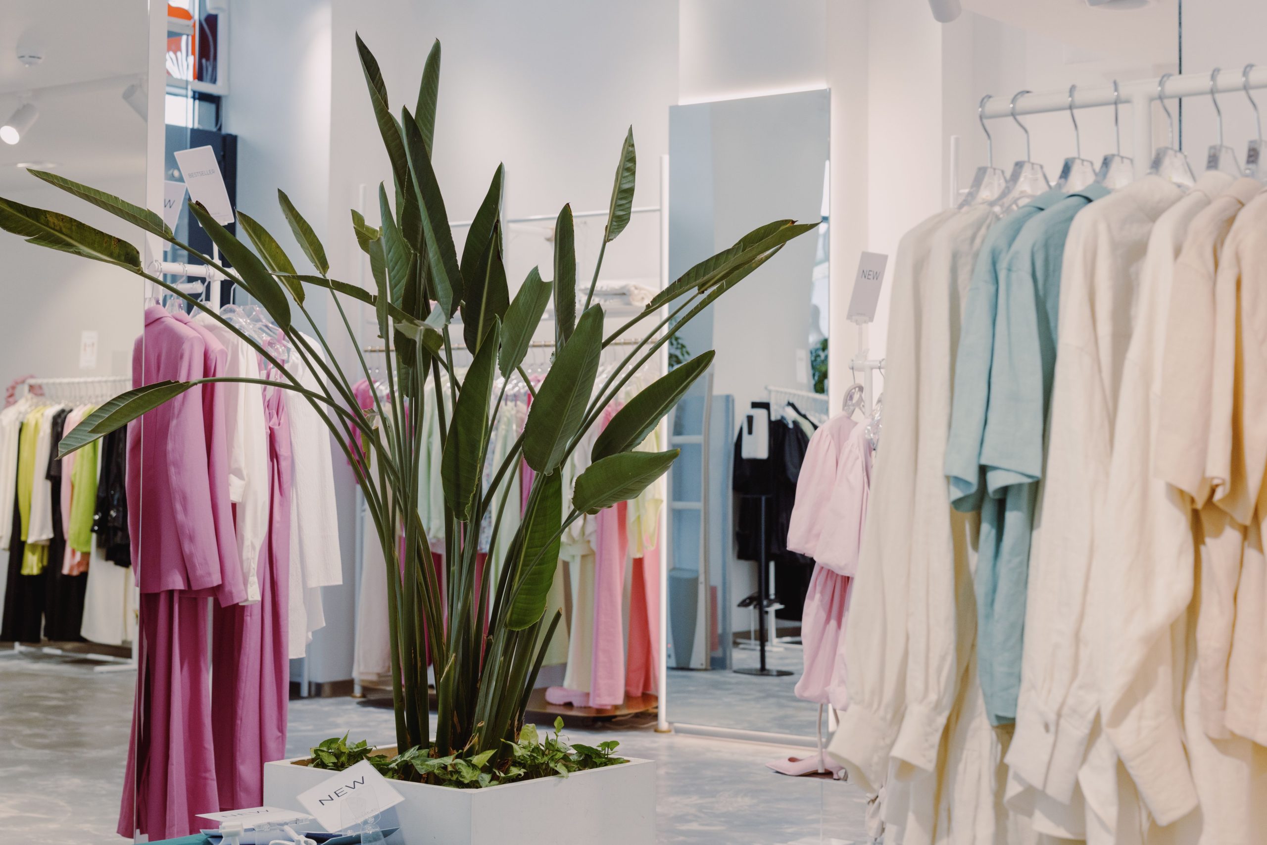 Boutique lumineuse avec vêtements pastel et plante verte