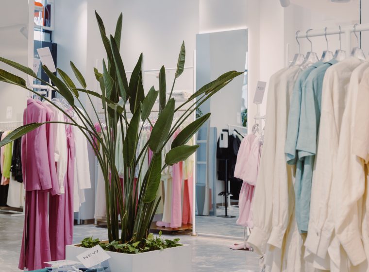 Carla Kops, c&rsquo;est quoi comme boutique dans le Var ?