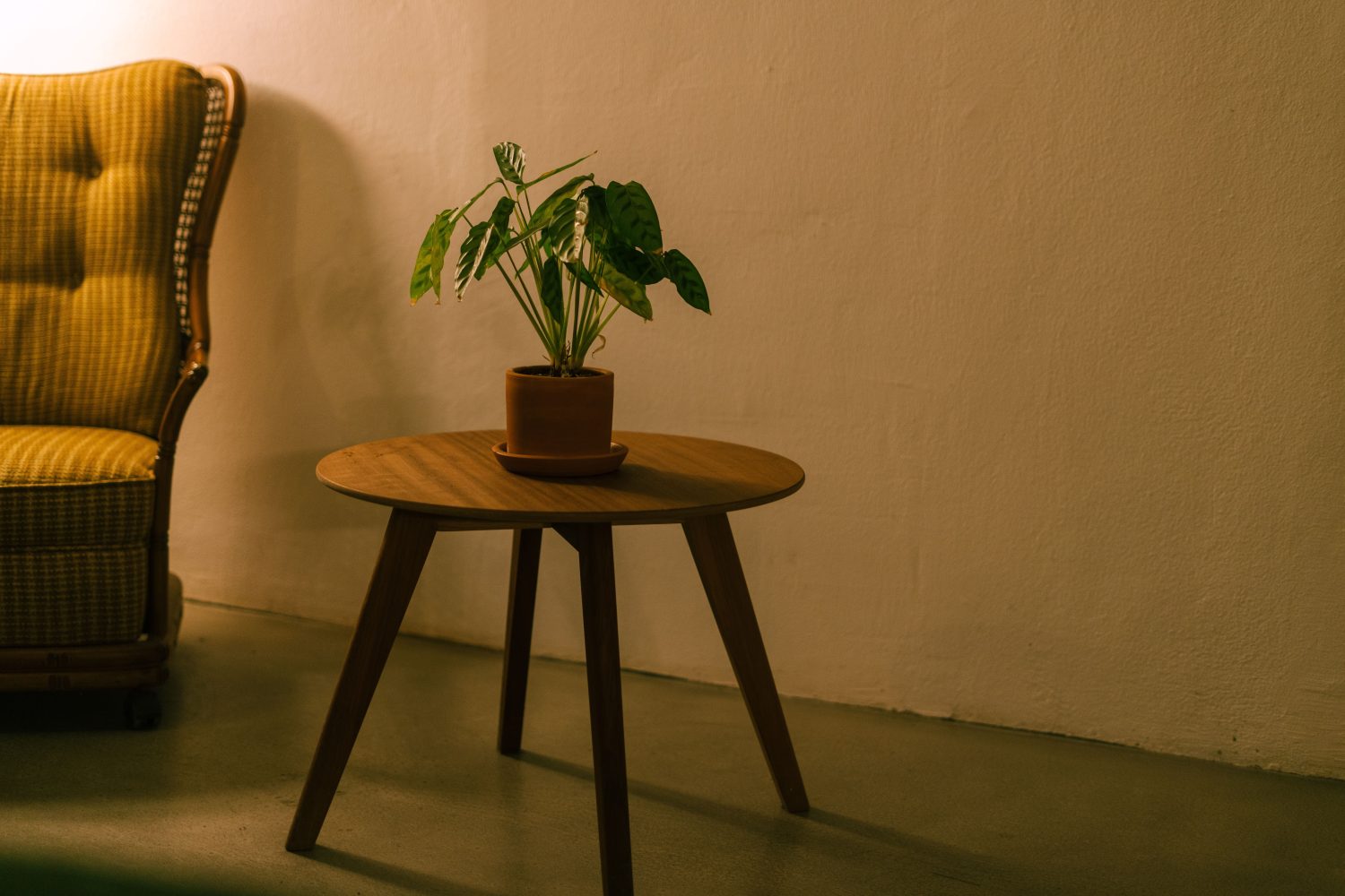 Comment choisir ton fauteuil chauffeuse vintage sans te tromper ?