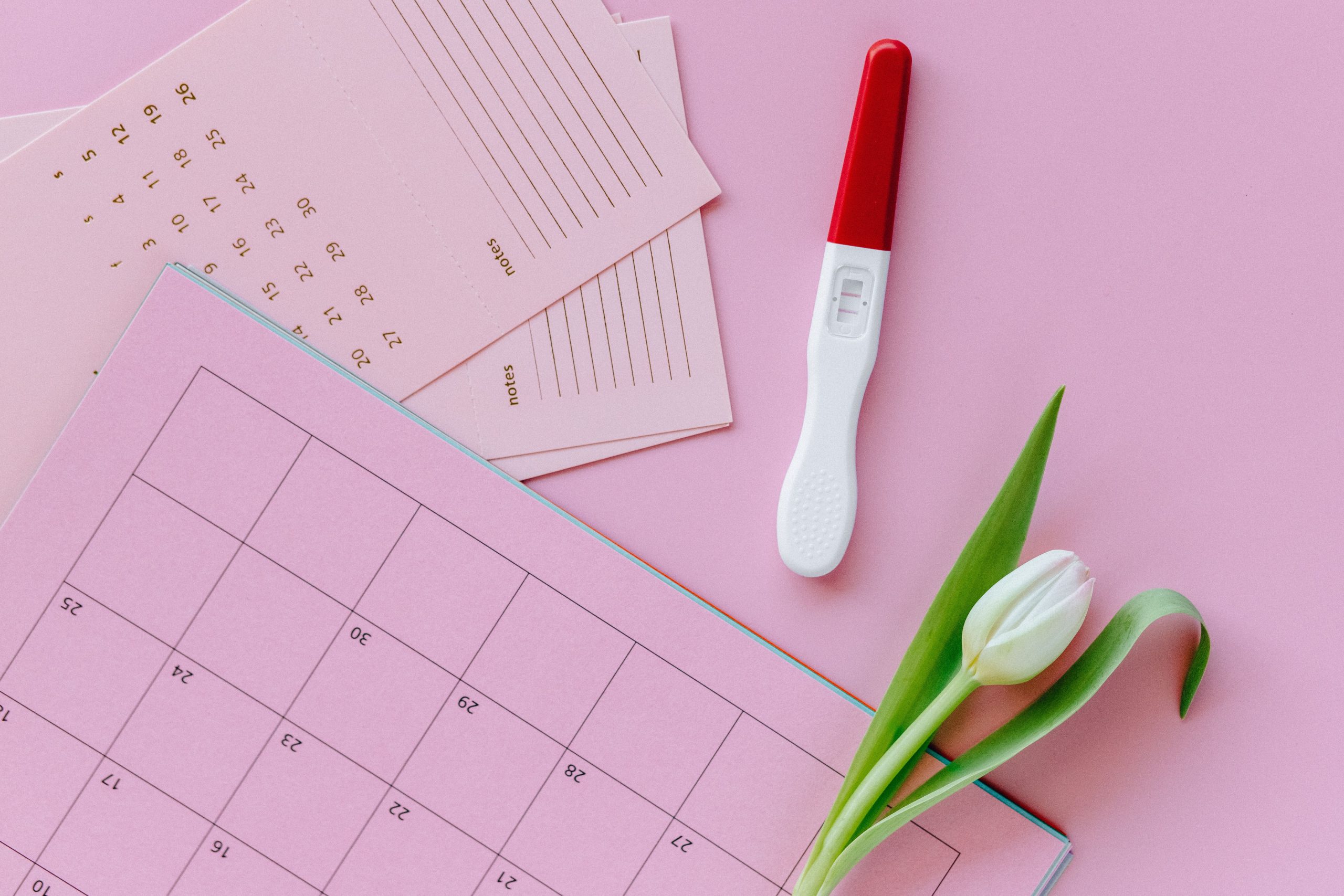 Test positif et tulipe sur calendrier rose
